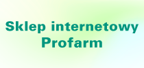 Start sklepu internetowego